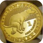 SHIB币钱包安全管理与实时交易