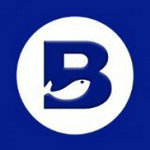 区块链预测合约交易平台优势