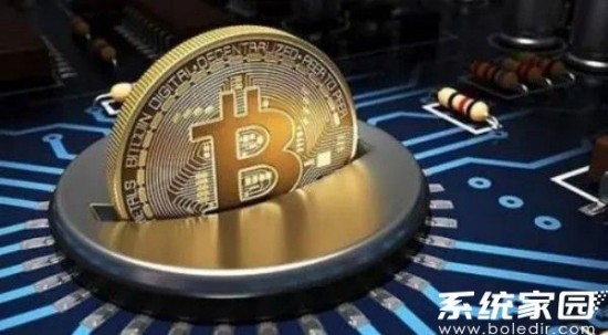 维卡币2025年9月价格预测及最新动态