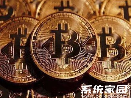 TRX币钱包界面展示