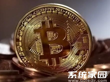 区块链数据可视化