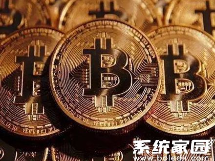 StarNetwork安卓版界面展示
