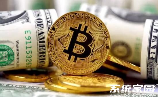 数字货币市场发展趋势分析