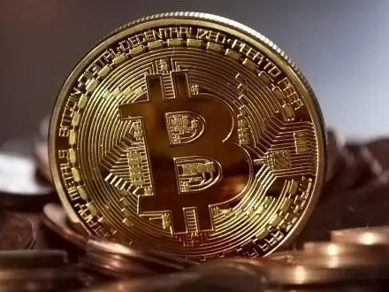 莱特币矿机应用界面