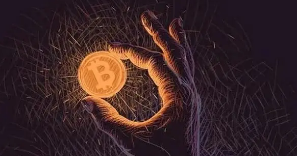 ZBApp多平台下载指引