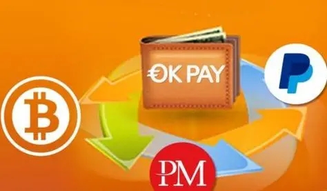 OKPay苹果版操作界面示意图
