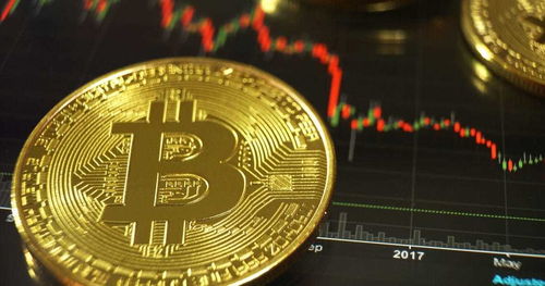 SLX币解析及未来前景展望  