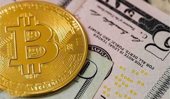 WIF币价格走势 WIF币价值评估 加密货币投资分析