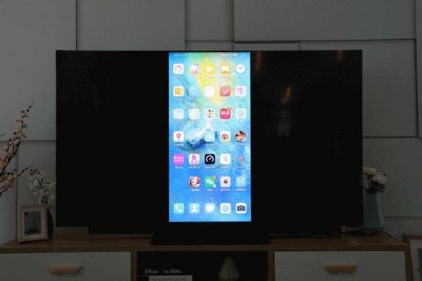 vivo手机电视投屏详细操作教程