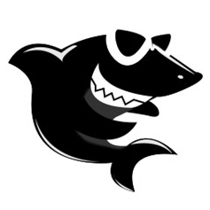 黑鲨装机大师电脑版免费U盘启动工具