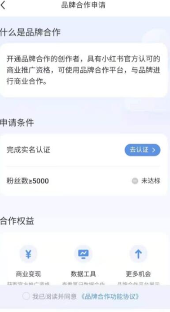 小红书赚钱方法全解析