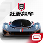 狂野飙车9全解锁版本驾驶乐趣