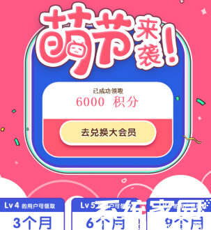 哔哩哔哩电脑端界面展示