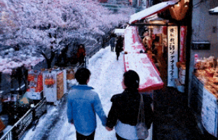 Sora模型操作界面展示