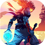 重生细胞国际服自定义功能详解