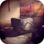 花鸟风月解谜游戏免费v1.0.2 无限金币版