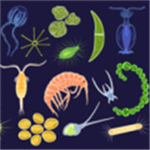 3D猎杀时刻无限进化玩法