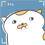 主播与猫的温馨直播物语