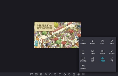 爱奇艺看图界面展示