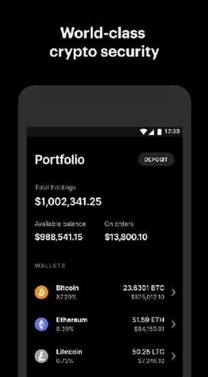 cu5e01u94b1u5305appu4e0bu8f7du5b89u88c5u82f9u679cu7248