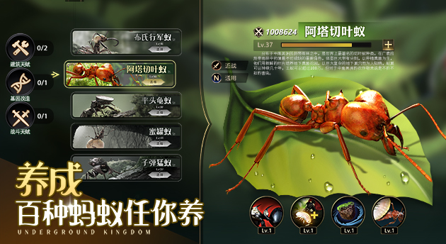巢穴建设界面