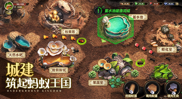 特化蚁战斗