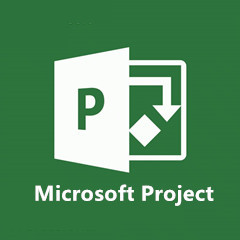 Microsoft Project专业项目管理工具2010