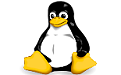 Linux Kernel