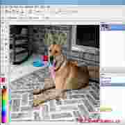 XP画图工具Win7兼容版