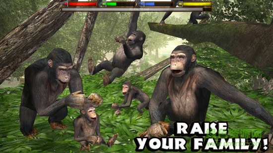 u4e1bu6797u52a8u7269u6a21u62dfu5668(JungleSim)