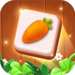 瓷砖大师消除闯关挑战v1.0.0.3 安卓版